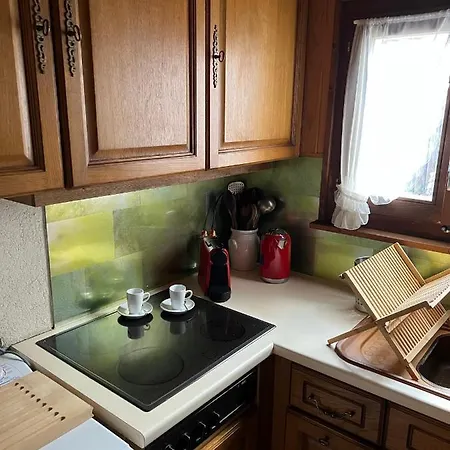 Entire Cozy In St-cergue - 30 Min From Geneva