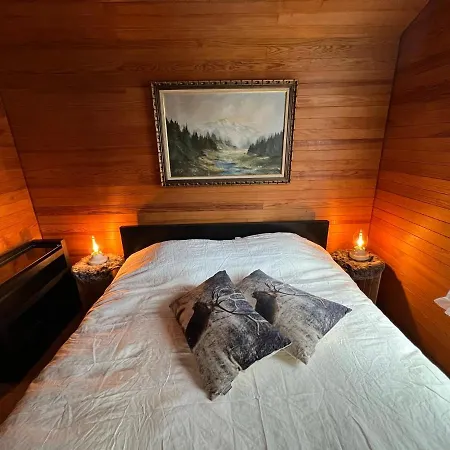 Entire Cozy In St-cergue - 30 Min From Geneva Chalet *