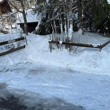 Entire Cozy In St-cergue - 30 Min From Geneva Saint-Cergue