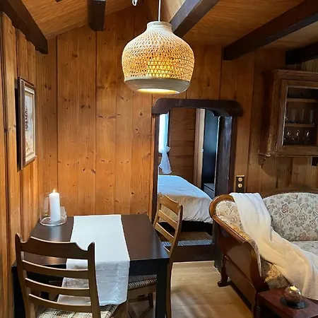 Entire Cozy In St-cergue - 30 Min From Geneva