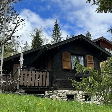 Entire Cozy In St-cergue - 30 Min From Geneva Saint-Cergue