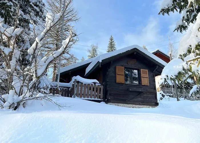 Entire Cozy In St-cergue - 30 Min From Geneva Chalet *