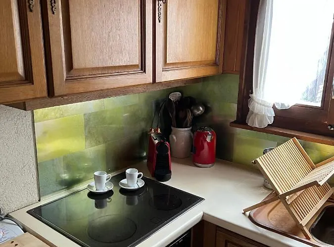 Entire Cozy In St-cergue - 30 Min From Geneva