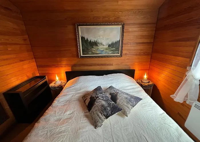 Entire Cozy In St-cergue - 30 Min From Geneva Chalet *