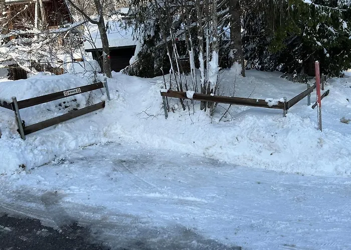 Entire Cozy In St-cergue - 30 Min From Geneva Saint-Cergue