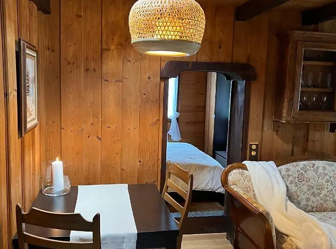 Entire Cozy In St-cergue - 30 Min From Geneva