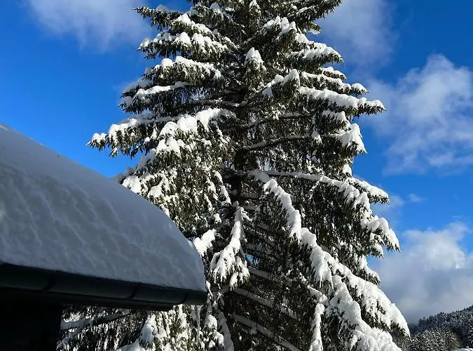 Entire Cozy In St-cergue - 30 Min From Geneva Chalet Saint-Cergue