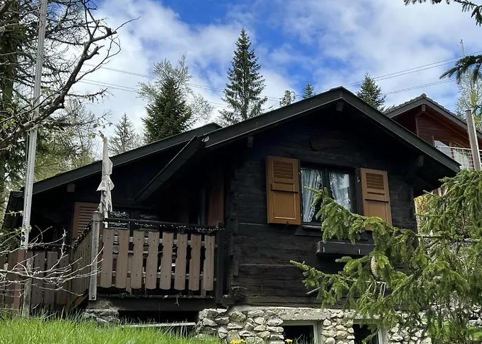 Entire Cozy In St-cergue - 30 Min From Geneva Saint-Cergue