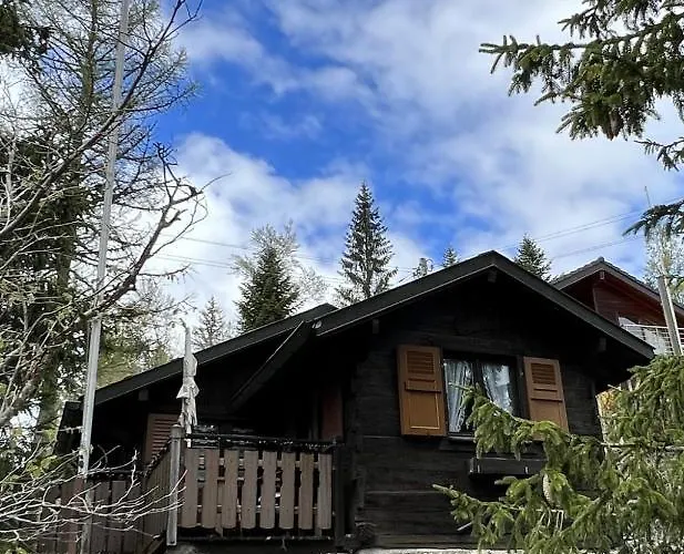 Chalet Entire Cozy In St-cergue - 30 Min From Geneva