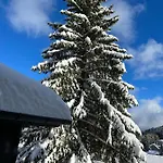 Entire Cozy In St-cergue - 30 Min From Geneva Domek alpejski Saint-Cergue