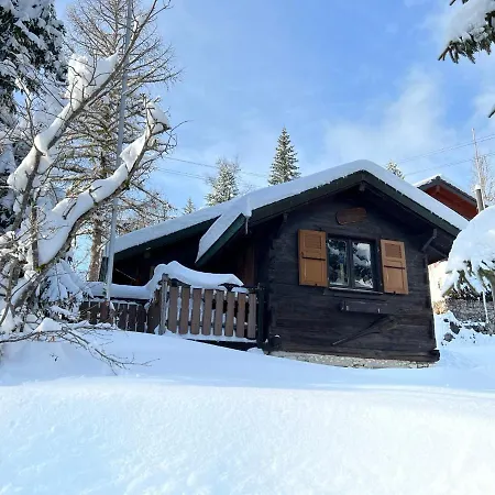 Entire Cozy In St-cergue - 30 Min From Geneva 木屋 *