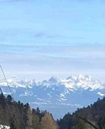 Entire Cozy In St-cergue - 30 Min From Geneva 木屋 圣塞尔格