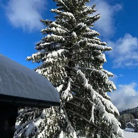 Entire Cozy In St-cergue - 30 Min From Geneva 木屋 圣塞尔格