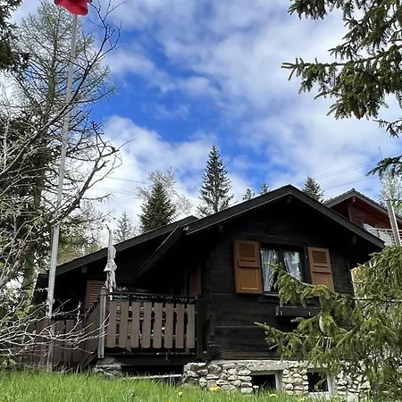 木屋 Entire Cozy In St-cergue - 30 Min From Geneva